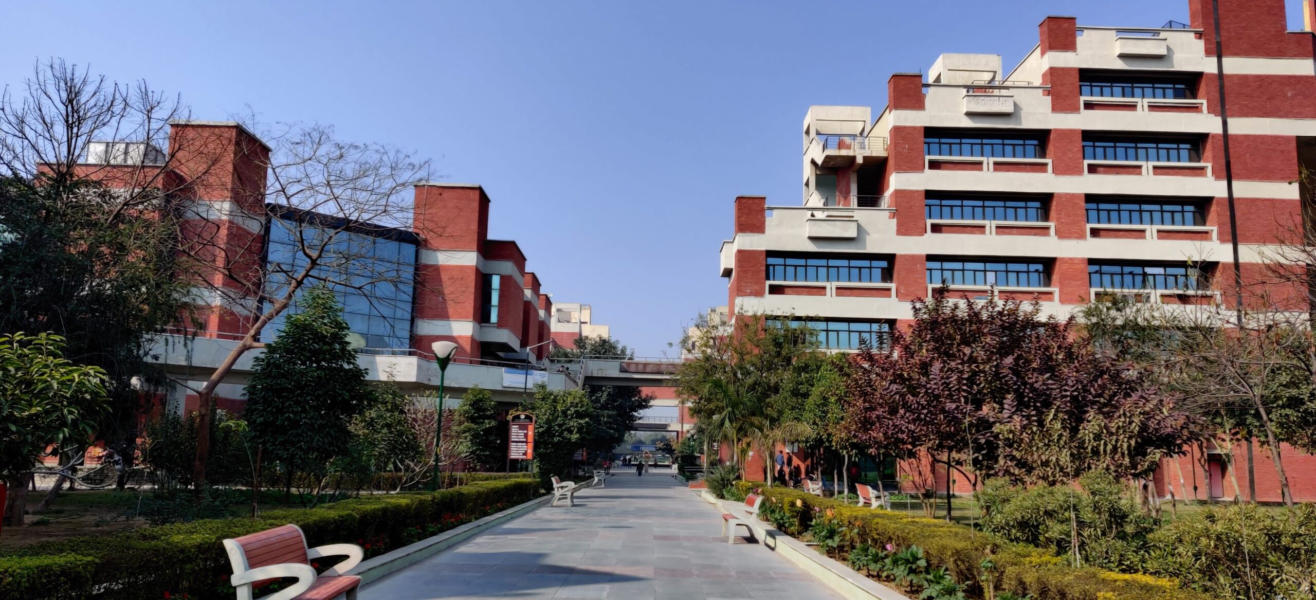  University School of Management Studies